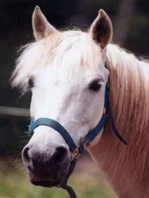 Il se la p&egrave;te la?